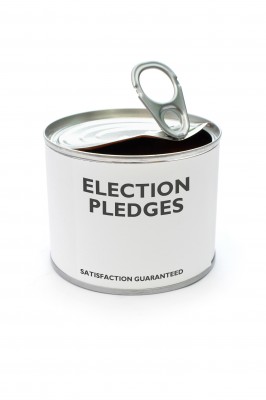 Election year promises